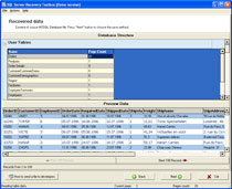 Fifth page of Word Recovery Toolbox