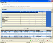 8th page of SQL Server Recovery Toolbox